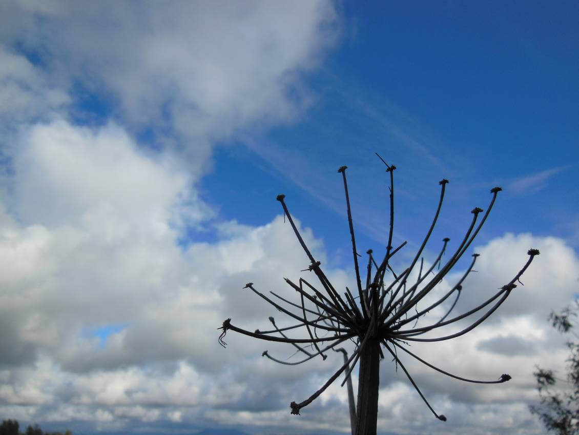 Aktivurlaub für Jung und Alt