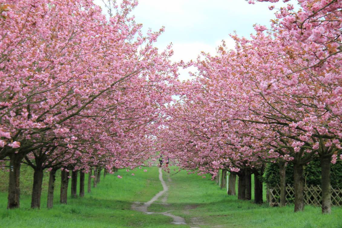 Aktivurlaub für Jung und Alt