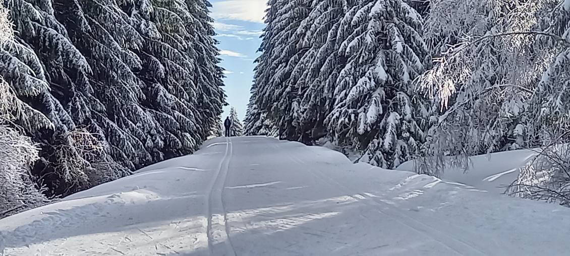 20240121_114415 20240121_114415