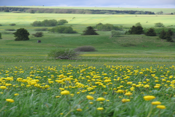 Landschaft mitttel Landschaft mitttel