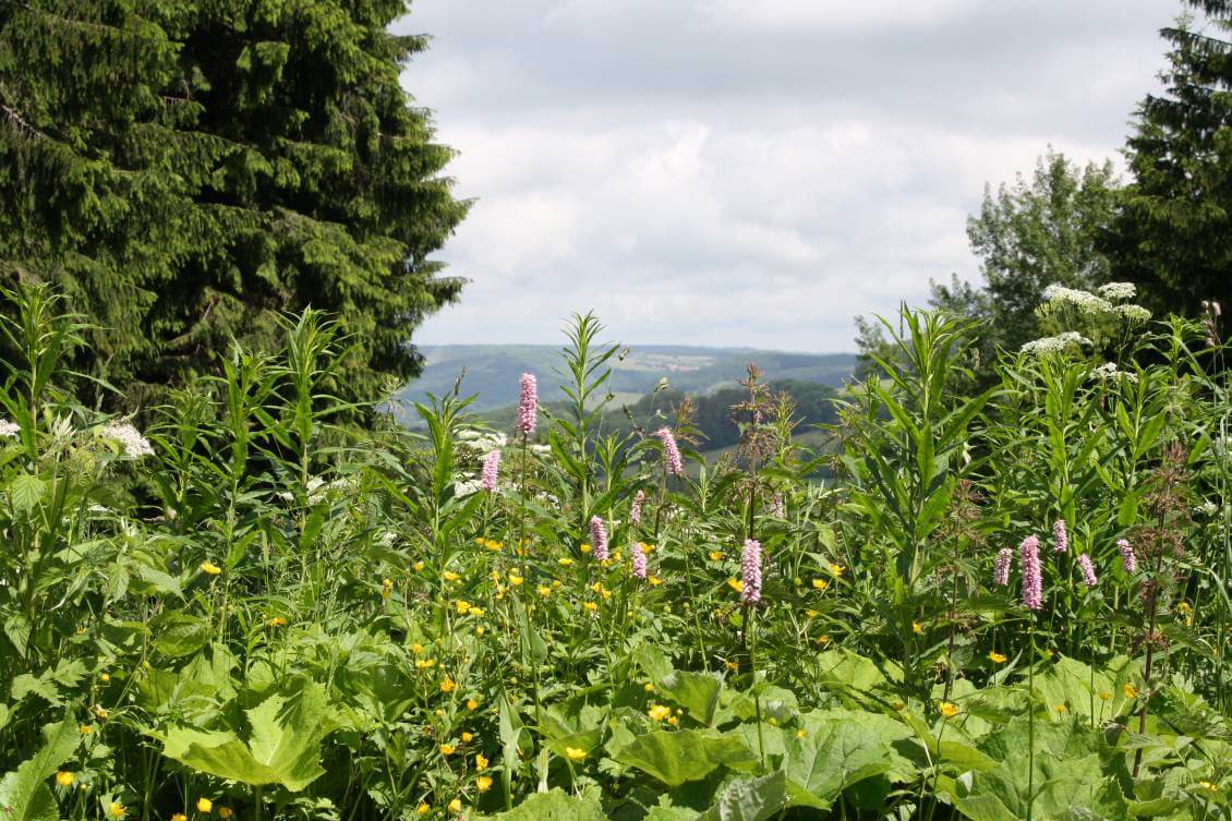 Rhönerlebnis 2009 047 Rhönerlebnis 2009 047