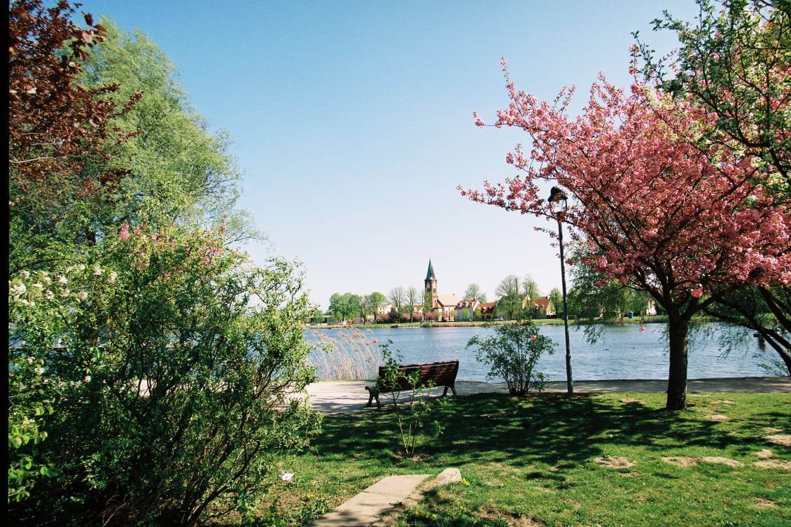 Maria Meeresstern mit Wasser Maria Meeresstern mit Wasser