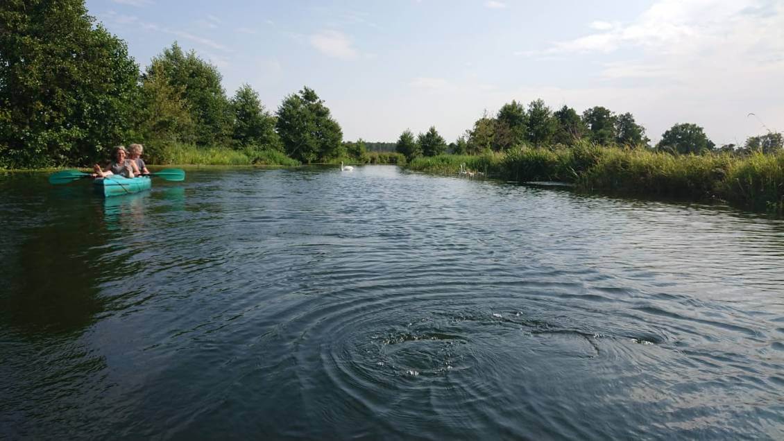 IMG-20180722-WA0020 IMG-20180722-WA0020