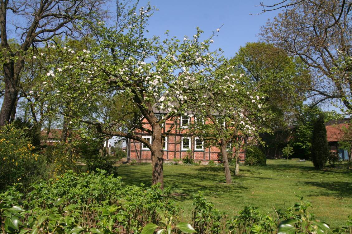 Landkreis Uelzen - Frühling 2 Landkreis Uelzen - Frühling 2