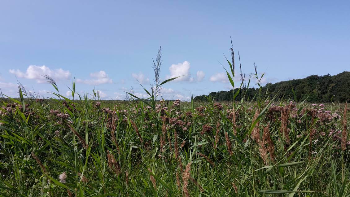 20170823_120227 20170823_120227