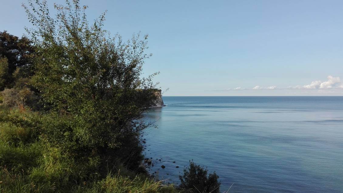 IMG_20170823_175449 IMG_20170823_175449