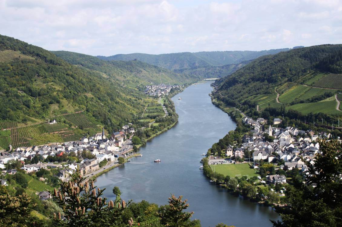 IMG_2483_kontrast IMG_2483_kontrast