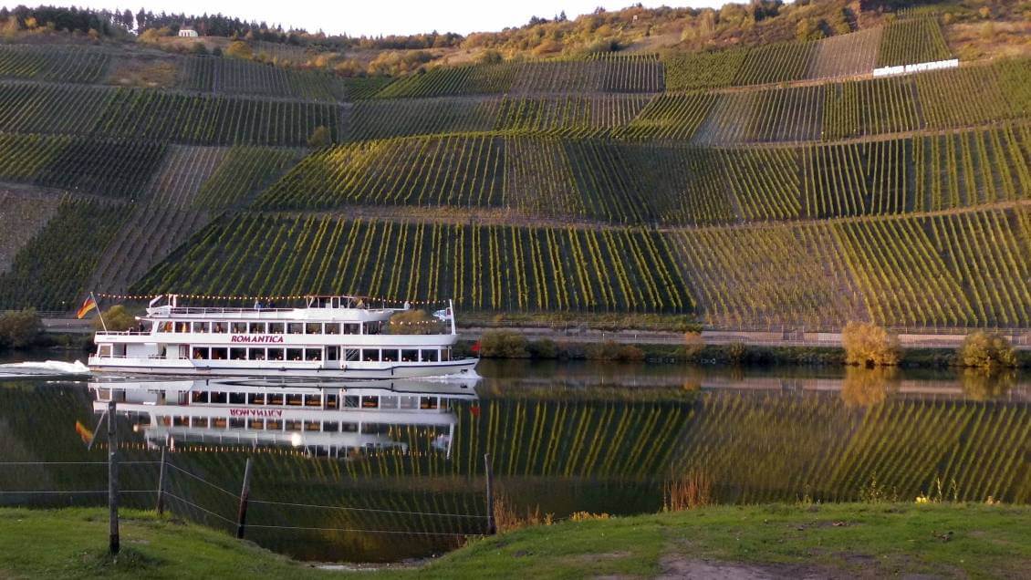 mosel mosel