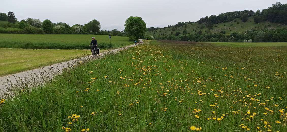 IMG_20230524_123610 IMG_20230524_123610