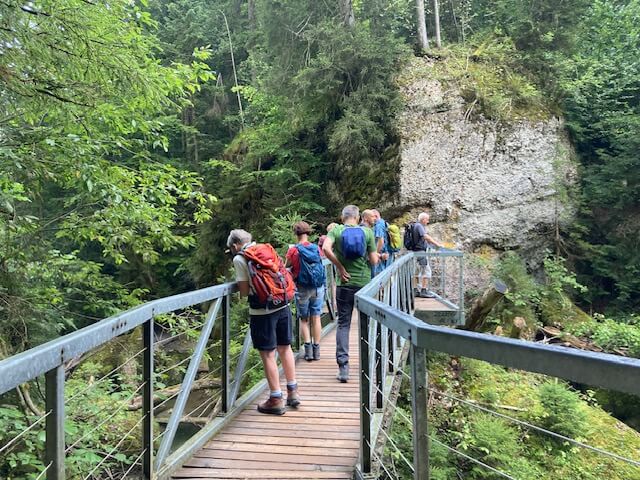 IMG_4871 (002) IMG_4871 (002)