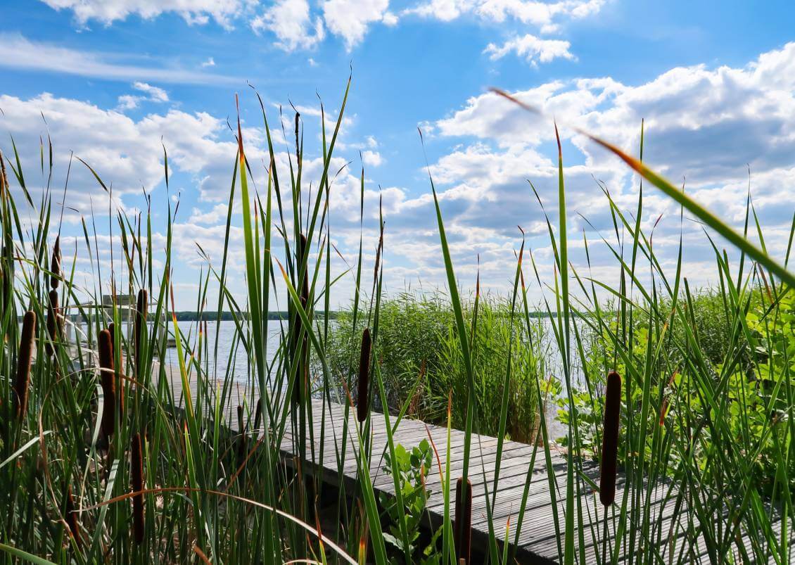 Steganlage Hotel Steganlage Hotel