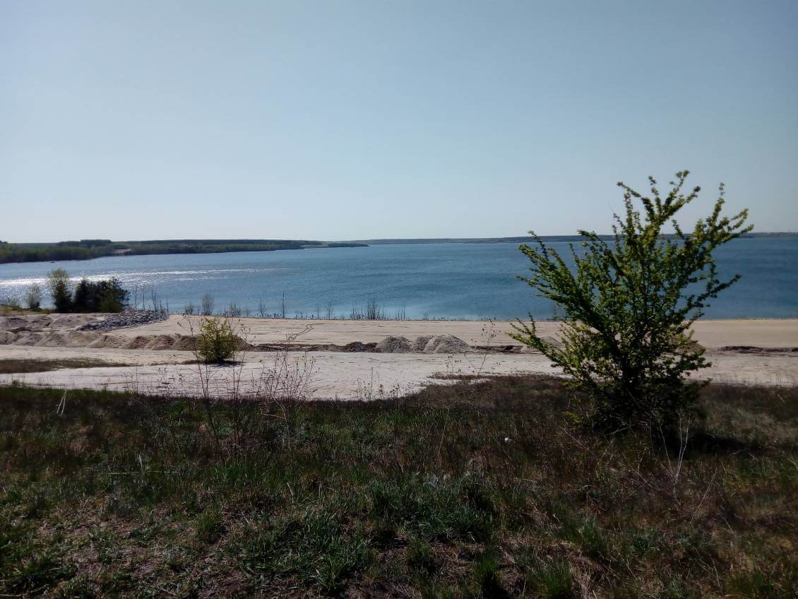 IMG_20200422_140954 IMG_20200422_140954