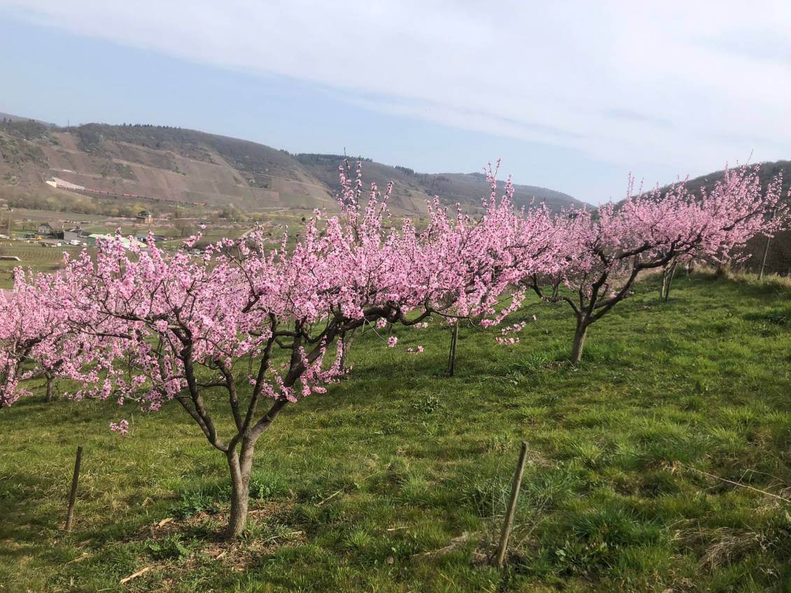 IMG-20221102-WA0001 IMG-20221102-WA0001