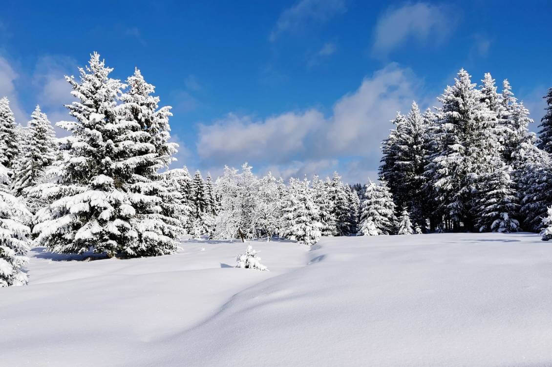 winter-7006385_1280 winter-7006385_1280