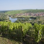 Blick auf die Volkacher Mainschleife