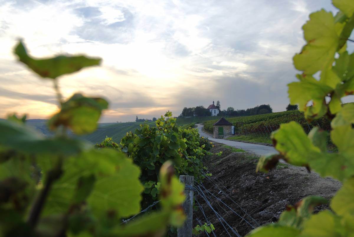 Vogelsburg Vogelsburg